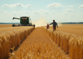 SovEcon boosts Russian wheat export outlook amid strong demand, better margins