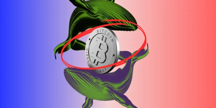 Bitcoin Whale Selling Pressure Drops Sharply as Binance Inflows Collapse