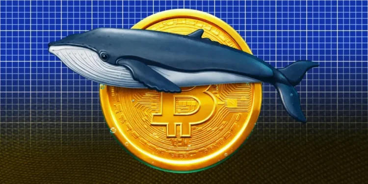 Bitcoin Price Eyes $80K as Whales Go Quiet Before March 1